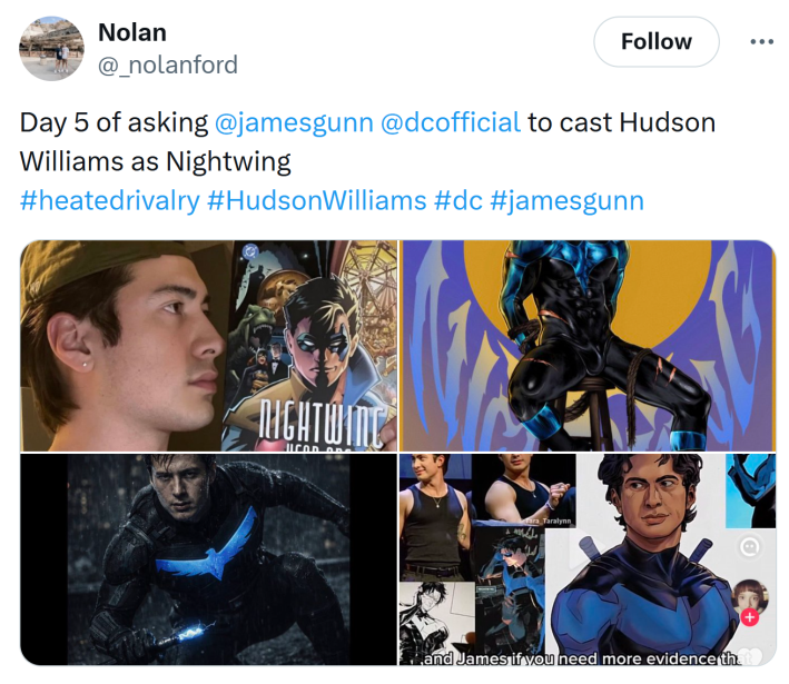 Tweet that reads, "Day 5 of asking @jamesgunn @dcofficial to cast Hudson Williams as Nightwing" with screenshots of Williams and various Nightwing artwork.