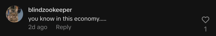 @blindzookeeper0 wrote, “you know in this economy.....”