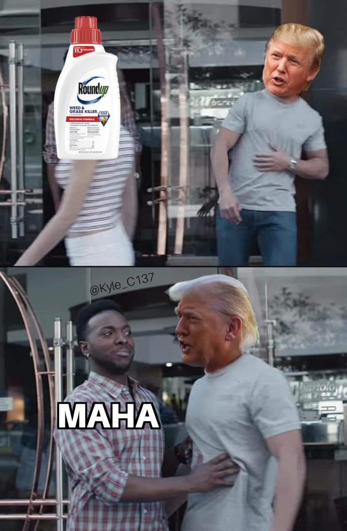 Meme of MAHA trying to hold Trump back from RoundUp.