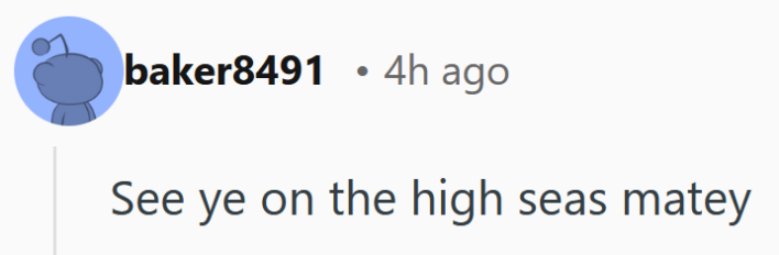 Reddit comment reading "See ye on the high seas matey"