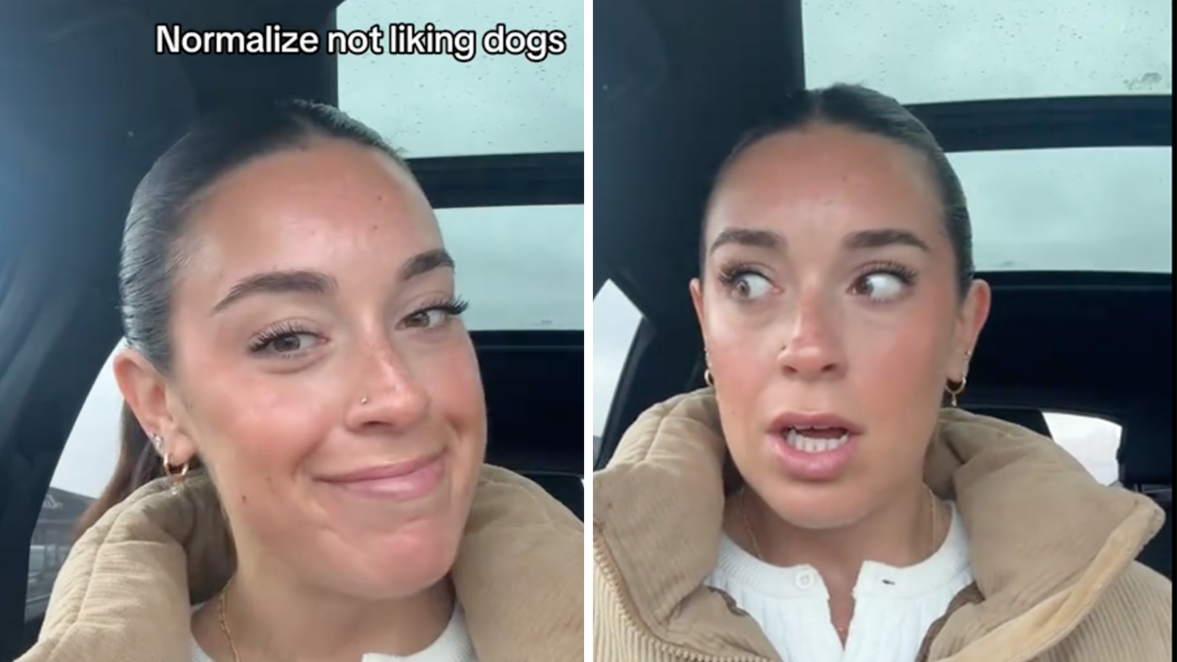 Woman sitting in the car with her hair pulled back, text overlay reads, "normalize not liking dogs."
