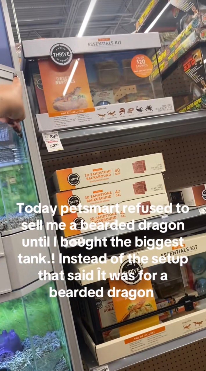 Video still of a PetSmart aisle showing reptile tanks. The woman holding the camera is pointing at a small, cheap tank. Text overlay reads, "Today petsmart refused to sell me a bearded dragon until I bought the biggest tank.! Instead of the setup that said it was for a bearded dragon."