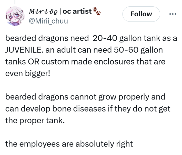 Tweet that reads, "bearded dragons need  20-40 gallon tank as a JUVENILE. an adult can need 50-60 gallon tanks OR custom made enclosures that are even bigger!bearded dragons cannot grow properly and can develop bone diseases if they do not get the proper tank. the employees are absolutely right"