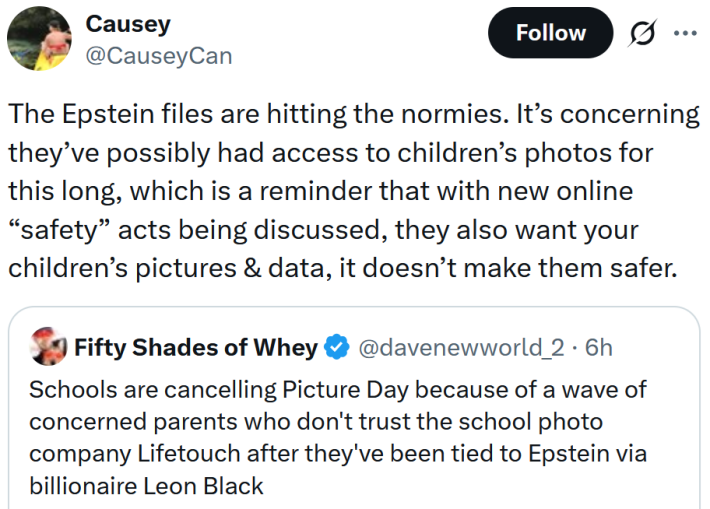 Tweet reading "The Epstein files are hitting the normies. It’s concerning they’ve possibly had access to children’s photos for this long, which is a reminder that with new online “safety” acts being discussed, they also want your children’s pictures & data, it doesn’t make them safer."
