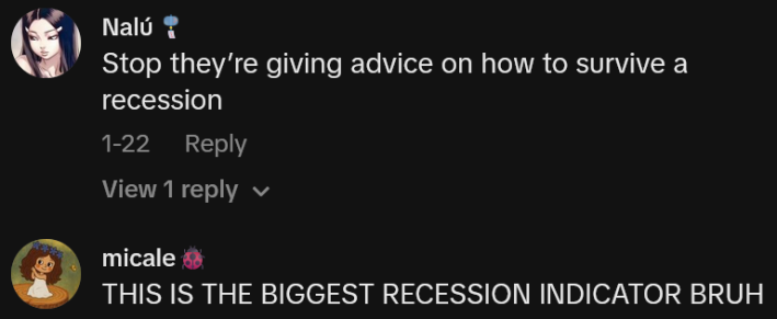 TikTok comments including one reading "Stop they’re giving advice on how to survive a recession"