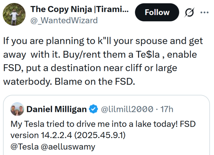 Tweet reading "If you are planning to k"ll your spouse and get away with it. Buy/rent them a Te$la , enable FSD, put a destination near cliff or large waterbody. Blame on the FSD."