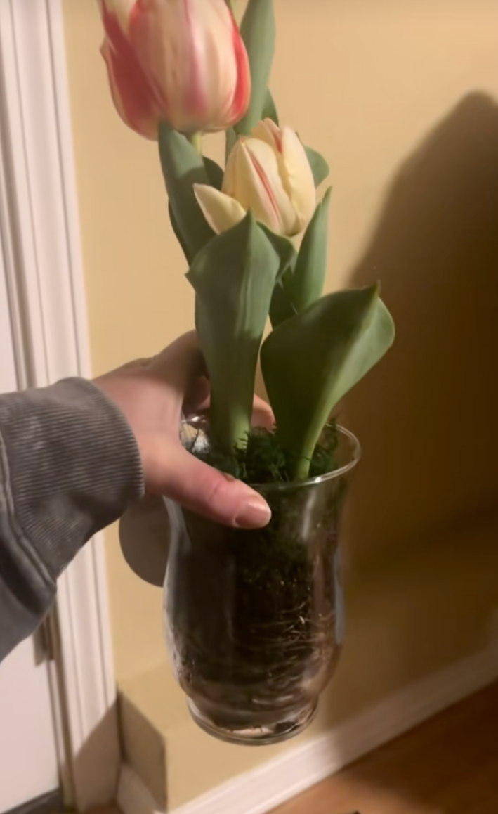 @restored.beauty/TikToktulips from too good to go order