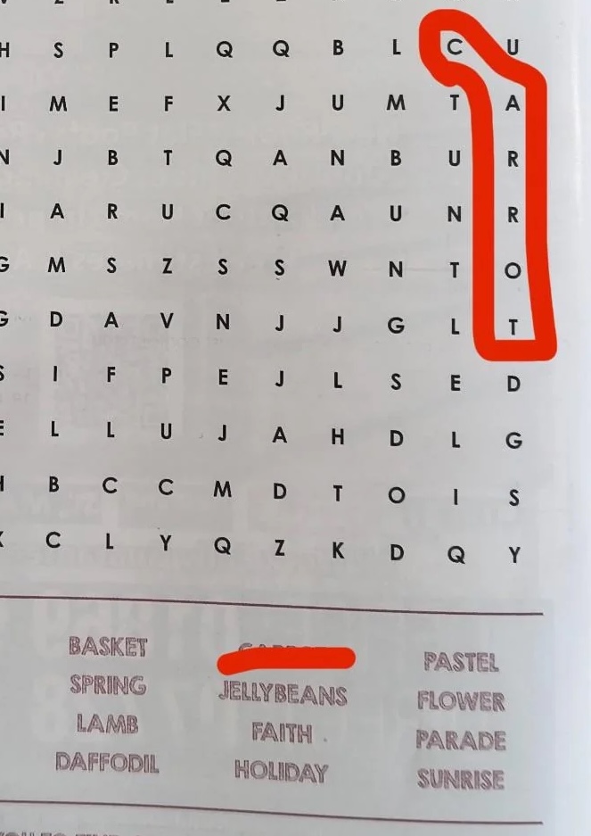 u/Rammnick via Reddit, impossible kids word search
