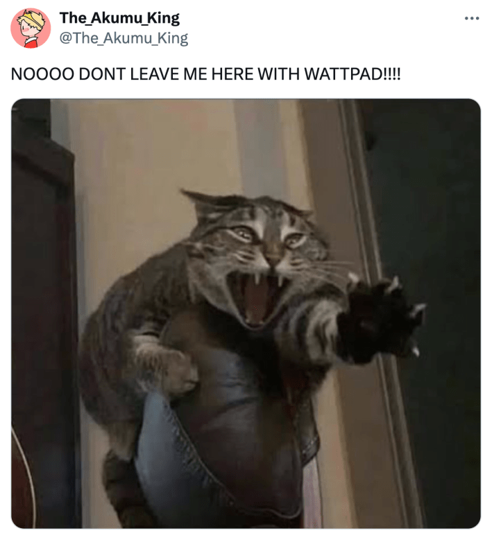 Tweet with a screaming, reaching cat that reads, "NOOOO DONT LEAVE ME HERE WITH WATTPAD!!!!"