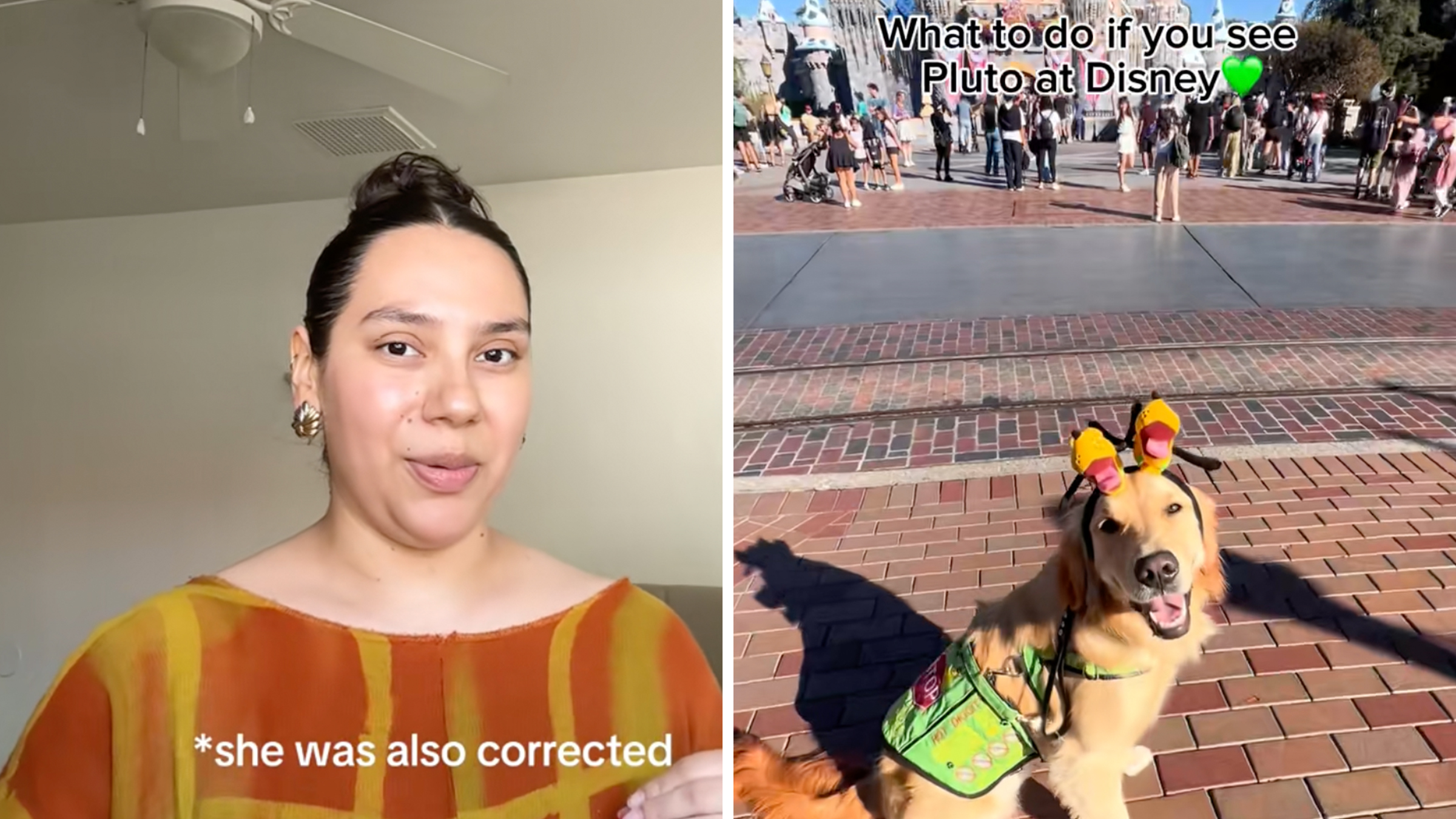 Left: Right: Woman in an orange dress looking into the camera, with her hair up in a bun. Right: Golden Retriever service dog at Disneyland, the castle visible in the background.