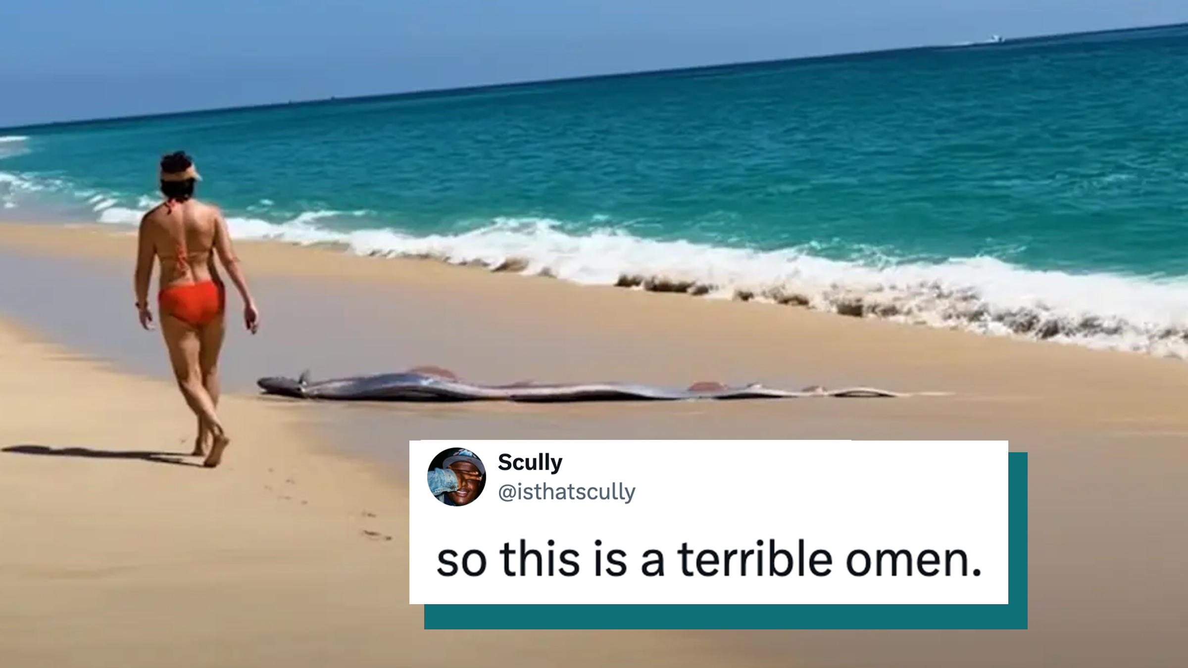 Woman in a bikini walking on a beach, an oarfish, otherwise known as a "doomsday fish," visible washed up out of the water.