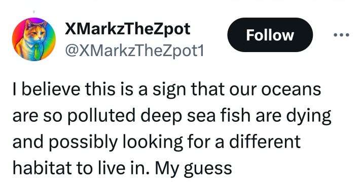 Tweet that reads, "I believe this is a sign that our oceans are so polluted deep sea fish are dying and possibly looking for a different habitat to live in. My guess."