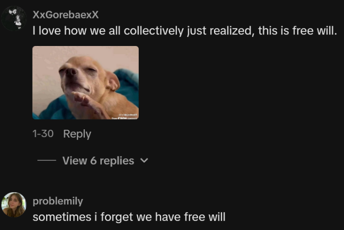 Comentários do TikTok incluindo uma leitura "Eu amo como todos nós, coletivamente, acabamos de perceber que isso é livre arbítrio."