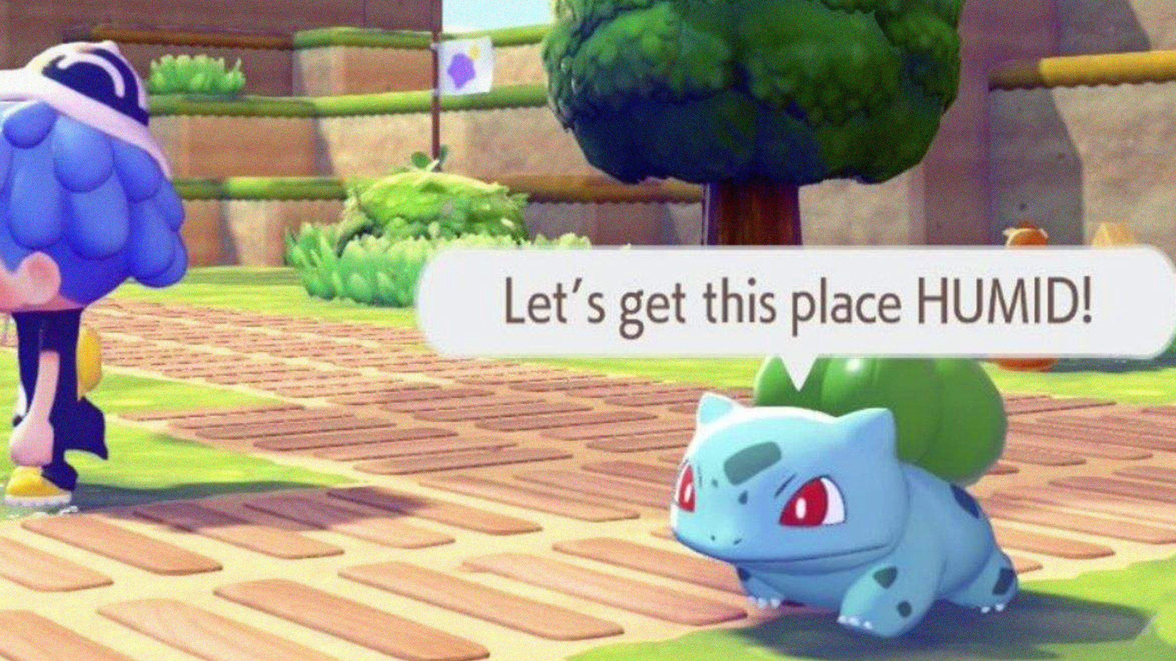 lets get this place humid