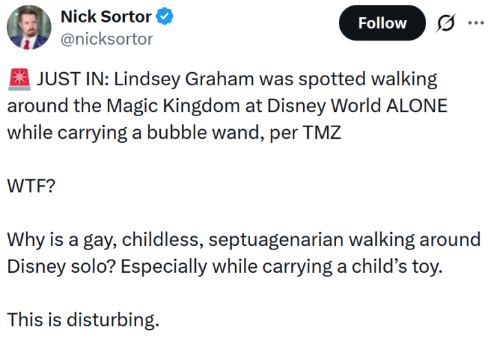 Tweet reading "JUST IN: Lindsey Graham was spotted walking around the Magic Kingdom at Disney World ALONE while carrying a bubble wand, per TMZ WTF? Why is a gay, childless, septuagenarian walking around Disney solo? Especially while carrying a child’s toy. This is disturbing."