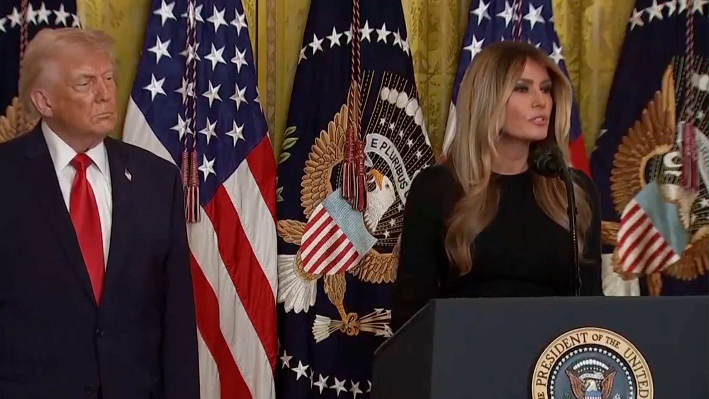 melania trump visionary