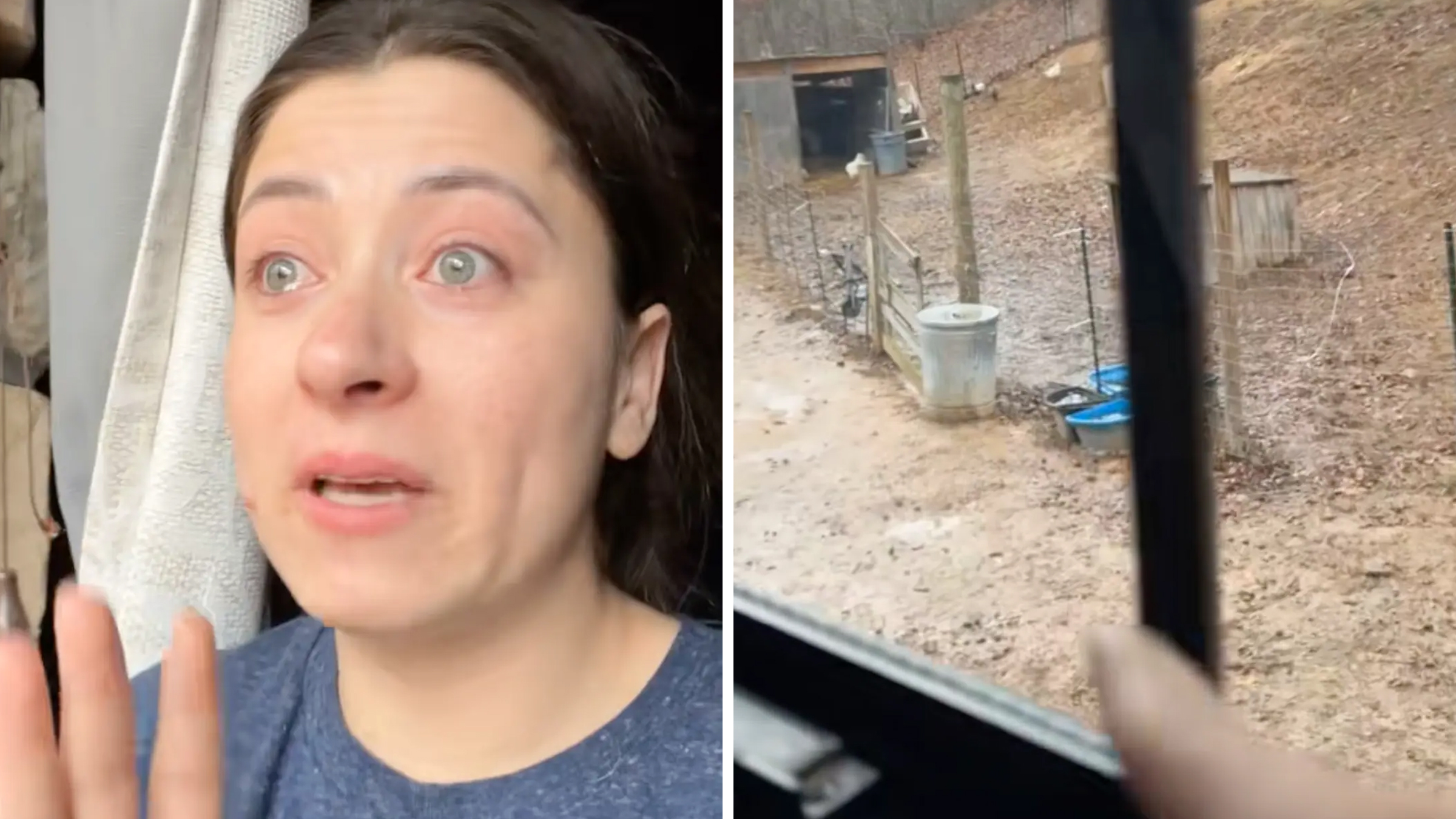 Left: Woman tearfully speaking into the camera. Right: Woman pointing at chicken coop in her backyard.