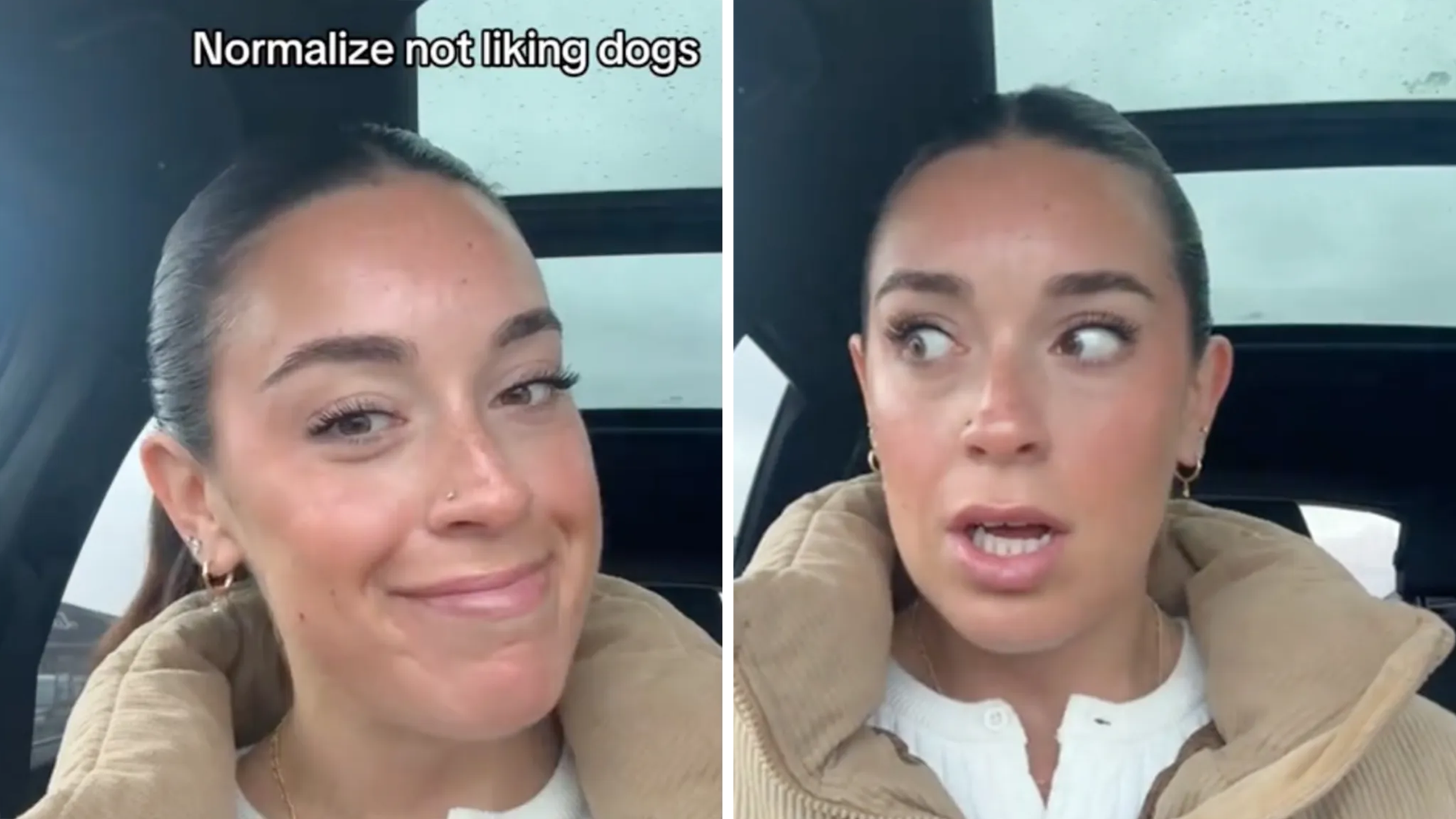 Woman sitting in the car with her hair pulled back, text overlay reads, "normalize not liking dogs."