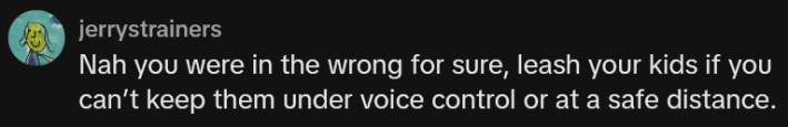 TikTok comment reading "Nah you were in the wrong for sure, leash your kids if you can’t keep them under voice control or at a safe distance."