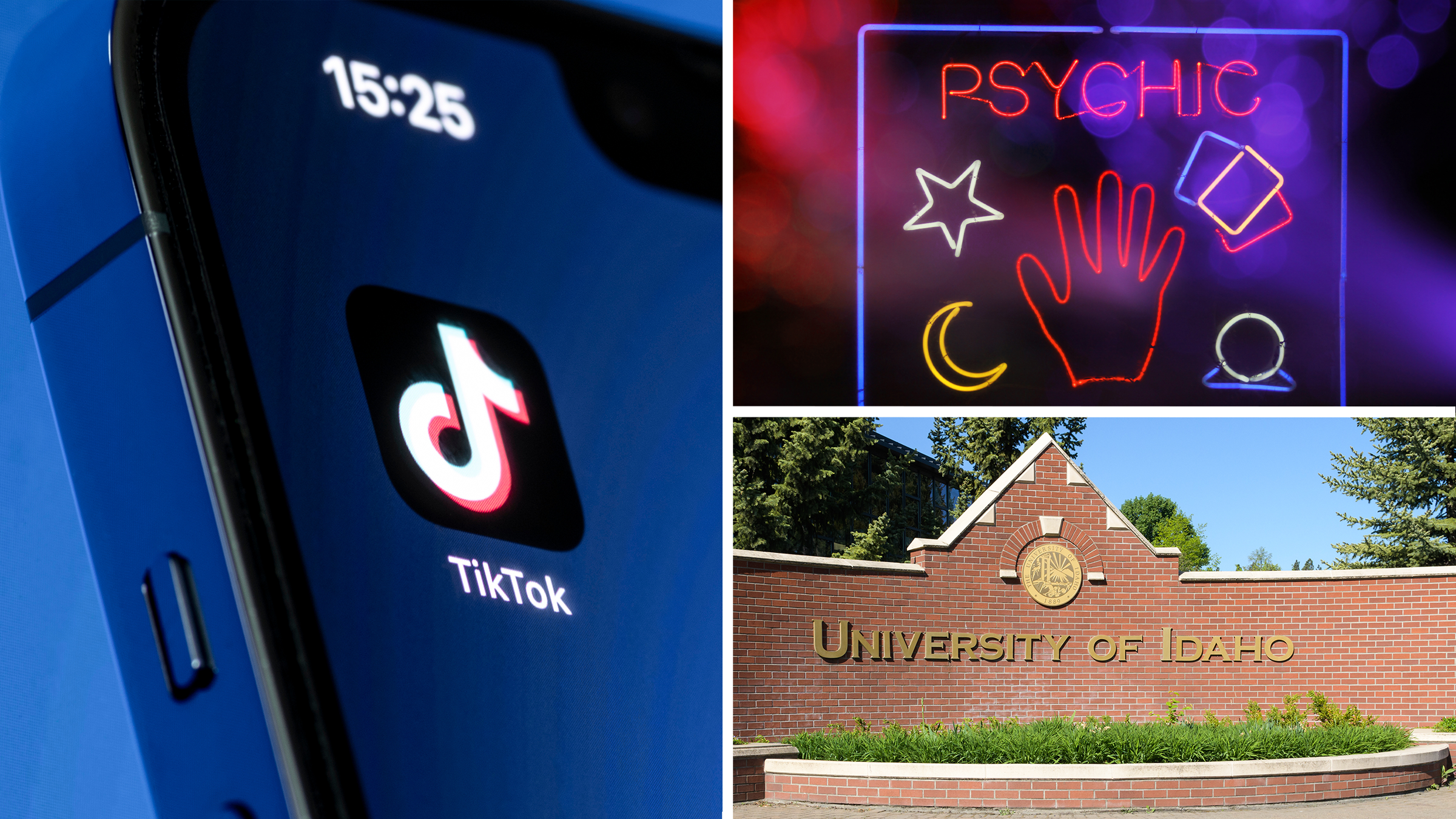 tiktok psychic moscow idaho murders