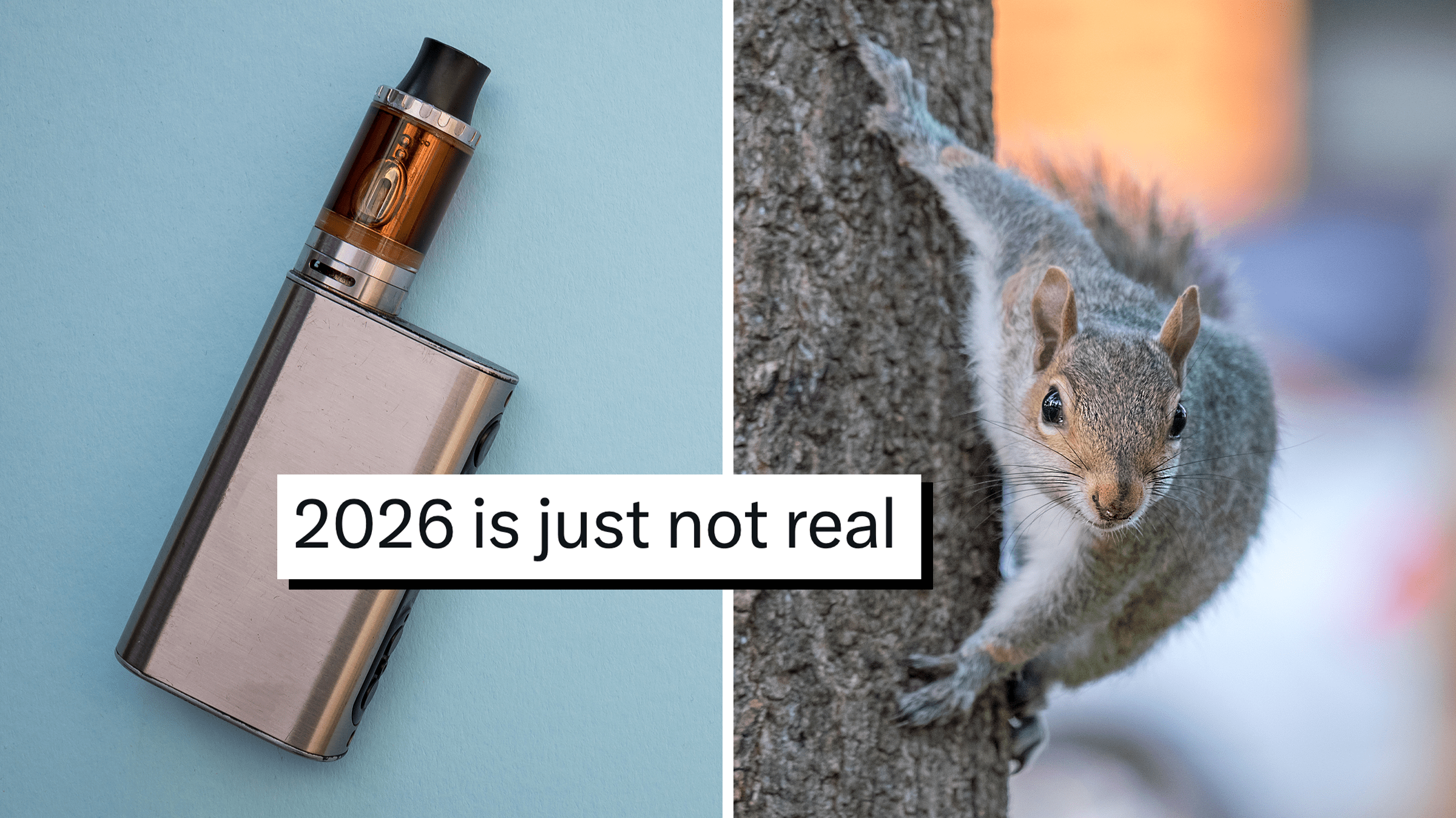 vaping squirrels