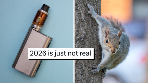 “What have we done”: The squirrels are vaping and no one can handle it