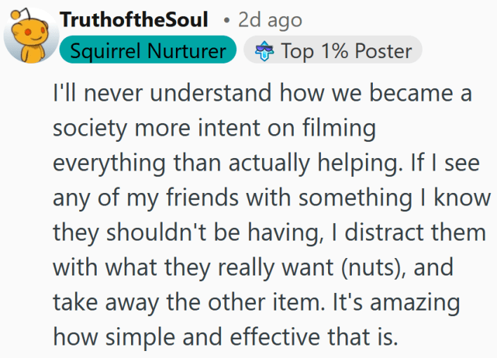 Reddit comment reading "I'll never understand how we became a society more intent on filming everything than actually helping. If I see any of my friends with something I know they shouldn't be having, I distract them with what they really want (nuts), and take away the other item. It's amazing how simple and effective that is."