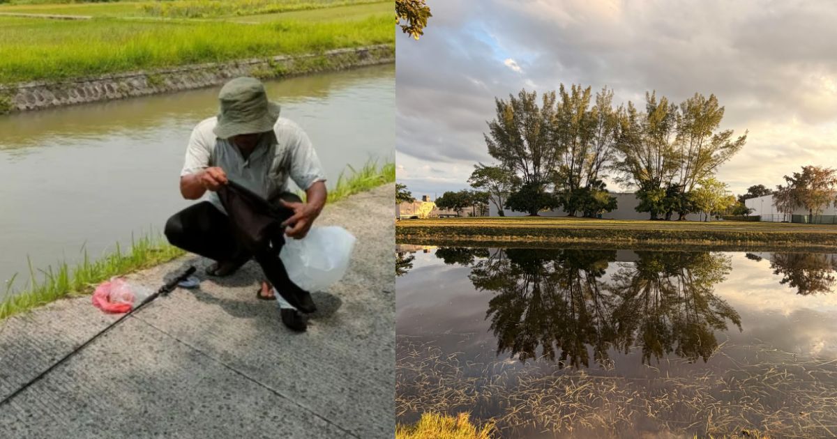 Mysterious spikes in Florida water
