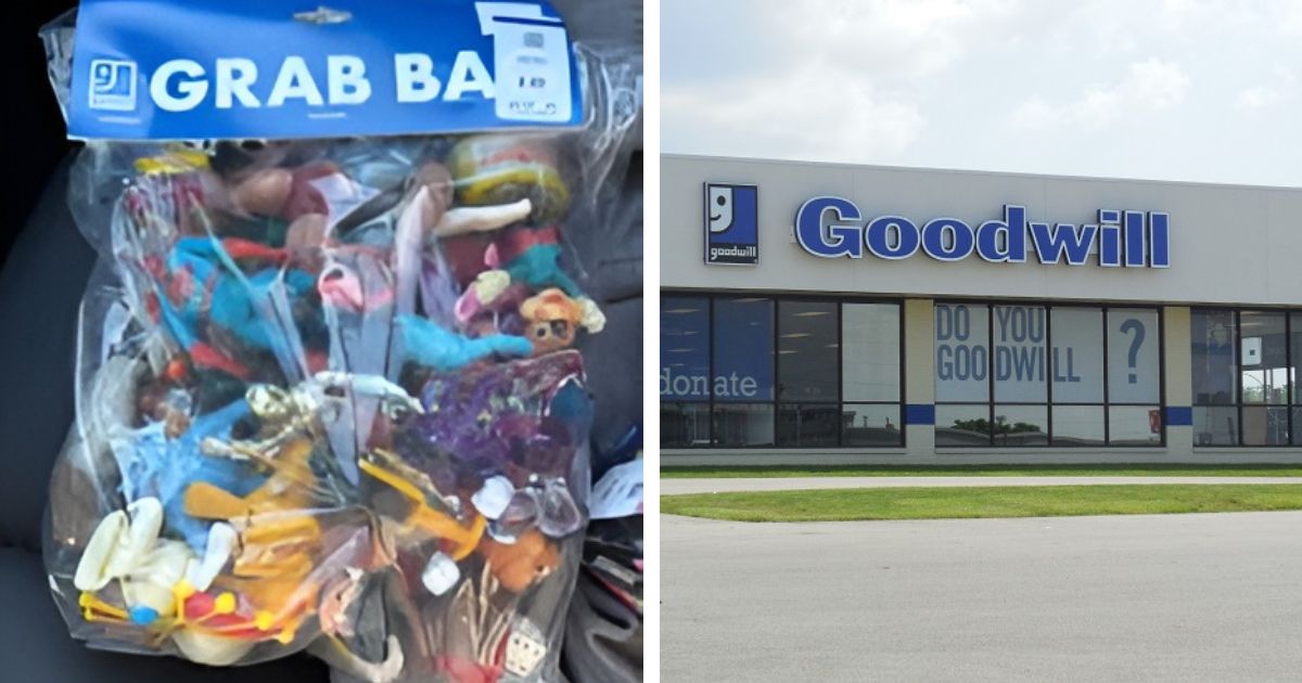 Goodwill $10 grab bags