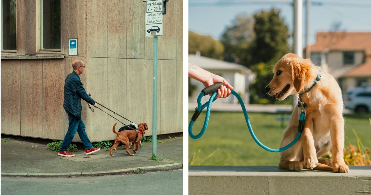 The man without a dog on leash had a sad backstory
