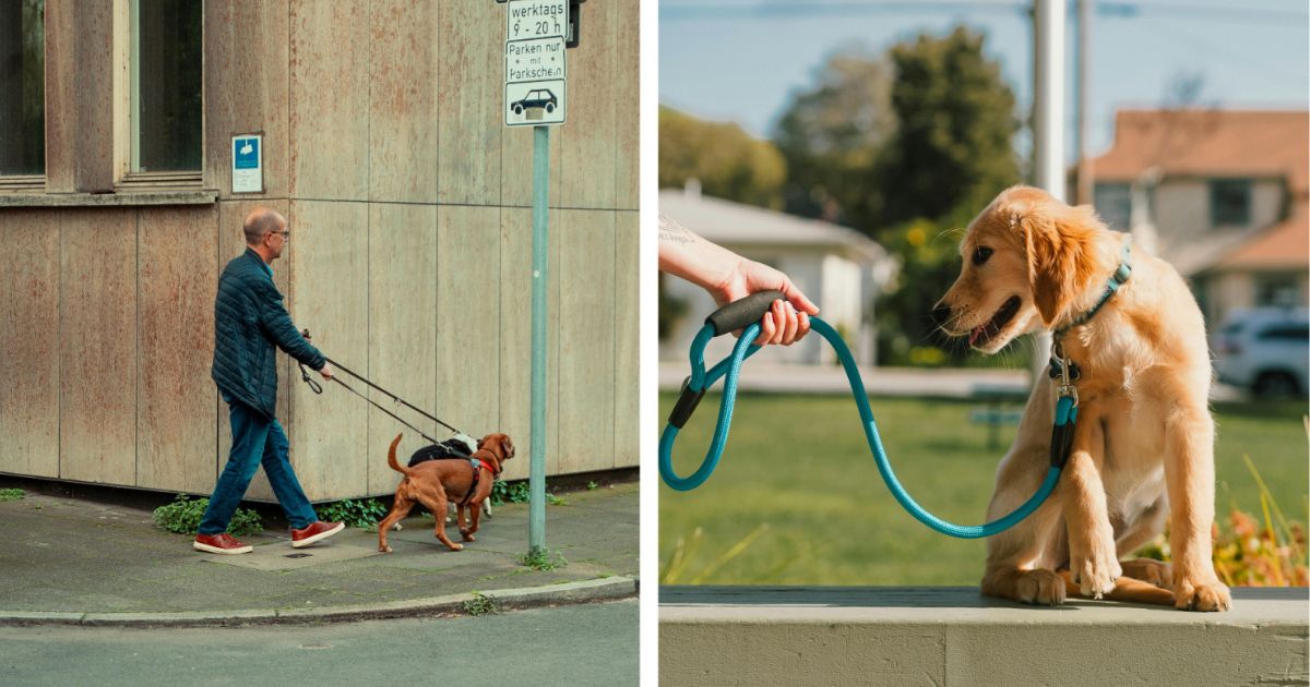 The man without a dog on leash had a sad backstory