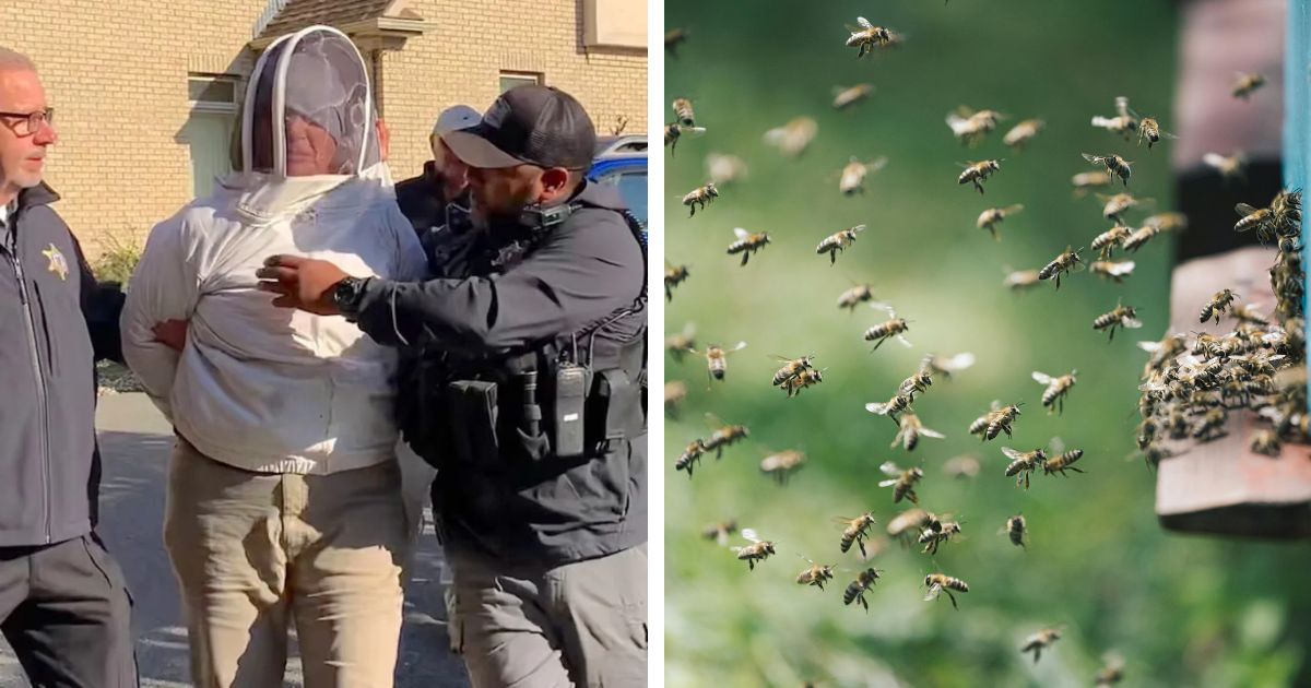 Beekeeper unleashes bees to protect her friend