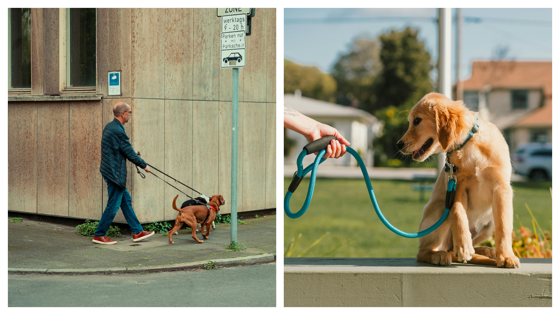 The man without a dog on leash had a sad backstory
