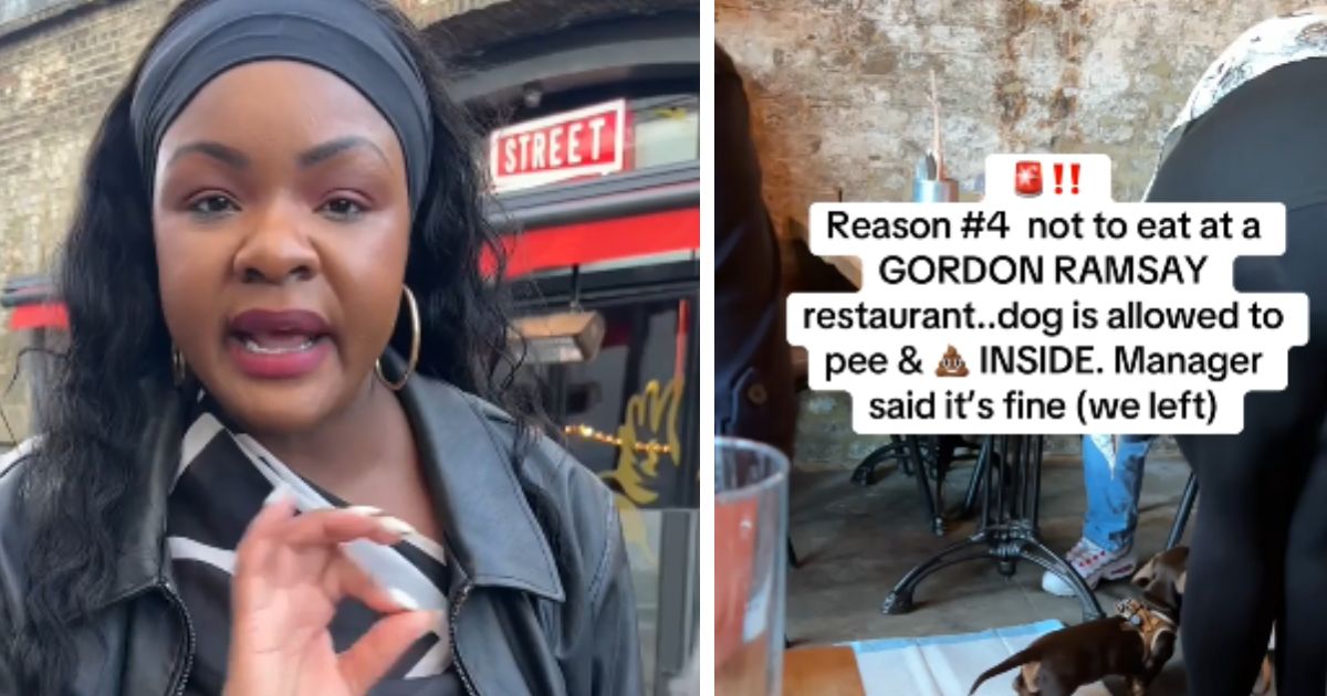 Gordon Ramsay's London Restaurant Let the Dogs Stay and Charged the Family That Left