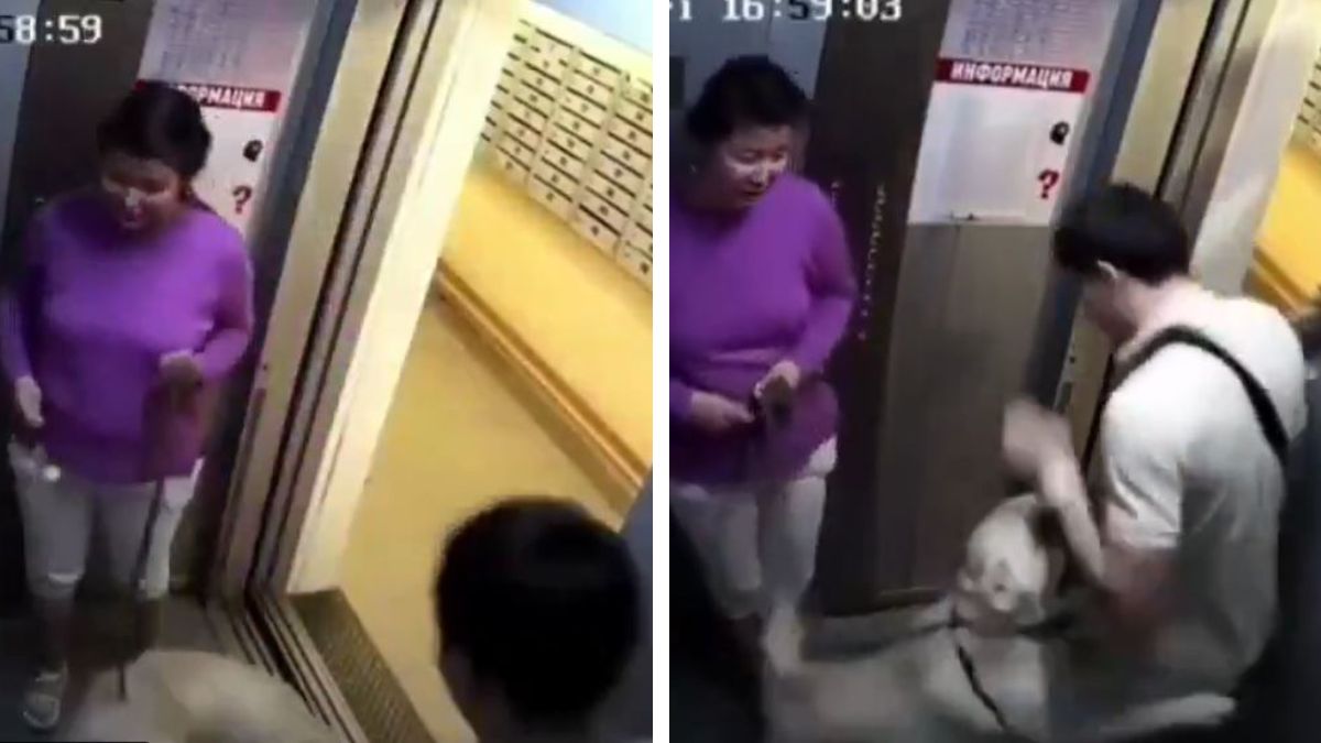 Dog lunges at frightened man