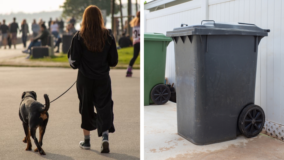 Woman walking her dog casually threw poop bag in her neighbor's trash can.