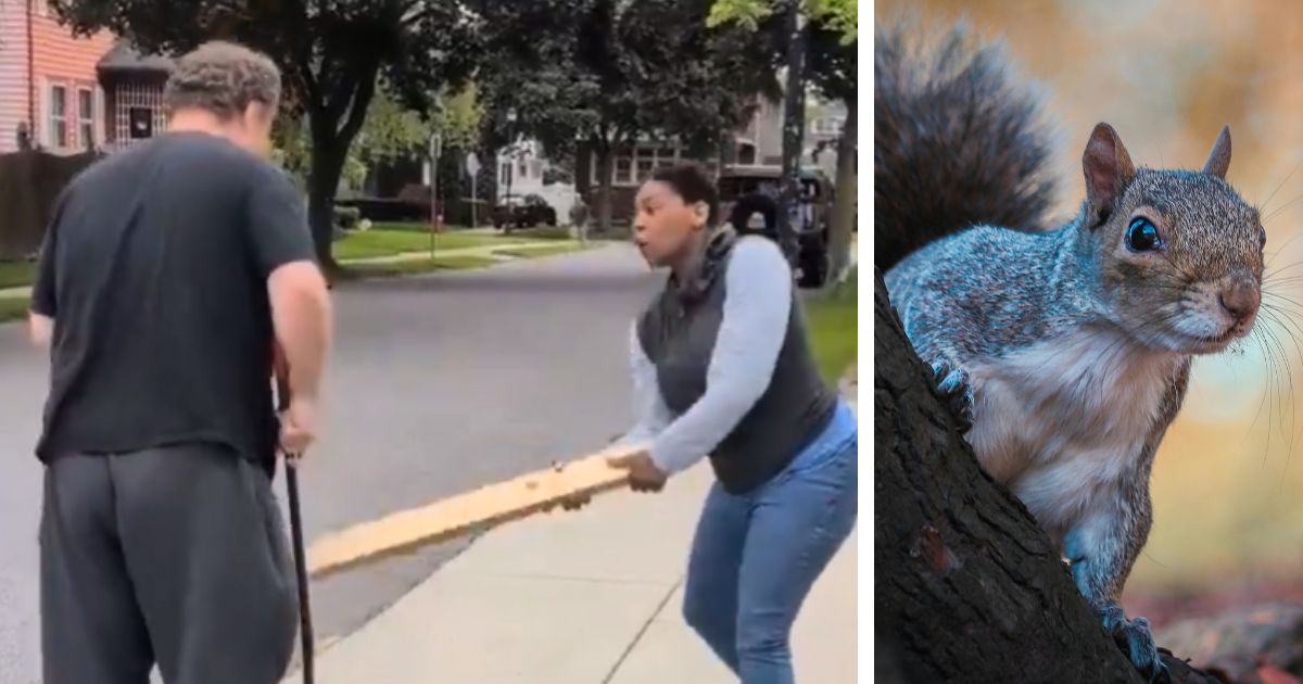 A viral video shows a woman beating a man who was sweeping up the bread she left out for squirrels