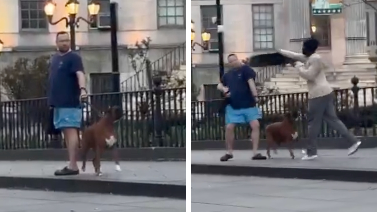 Black man allegedly attacked a man walking his dog in NYC with a skateboard.
