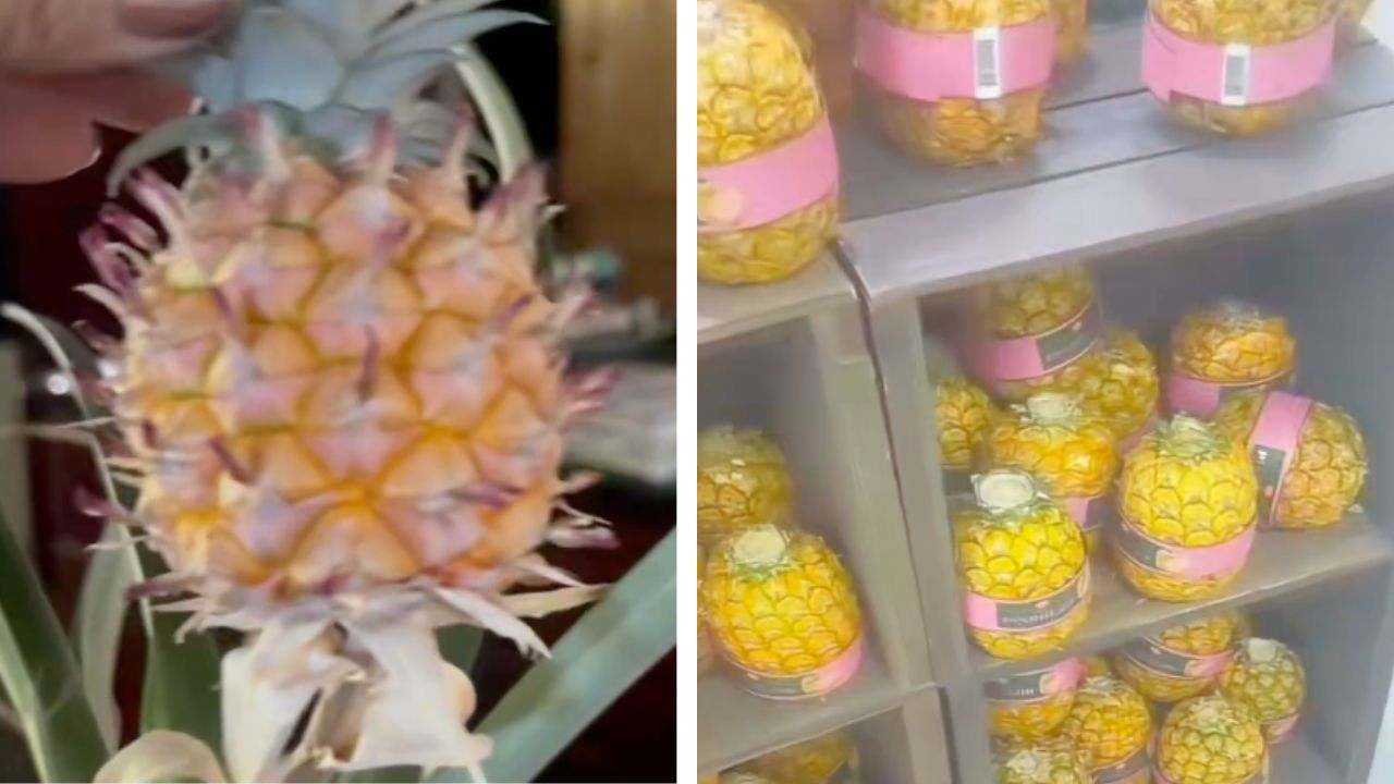 Del Monte Pink Pineapples Draw Criticism After Viral X Post