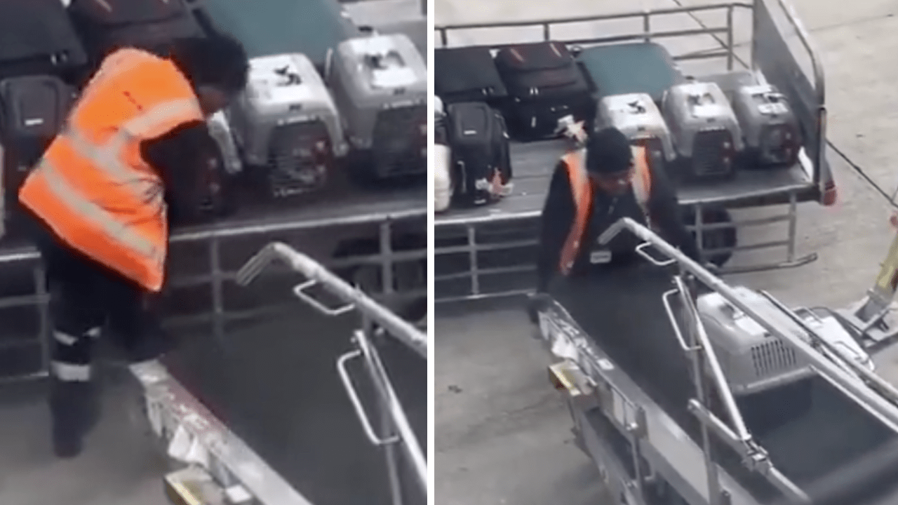 Baggage handler shows compassion to traveling pets