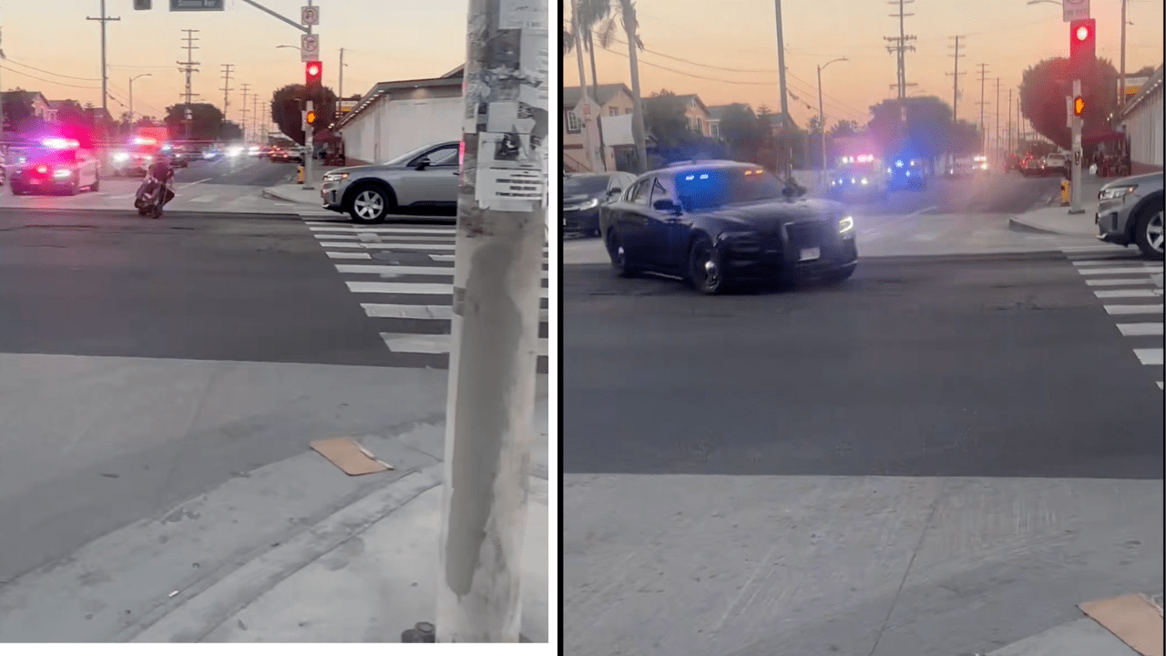 Los Angeles police need large fleet of cars to chase down kids on motorbike