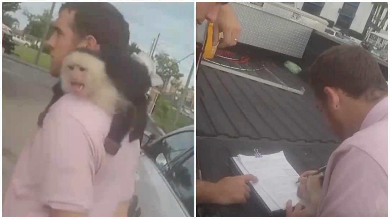 Man Arrested While His Pet Monkey Clings to Him in Viral Scene