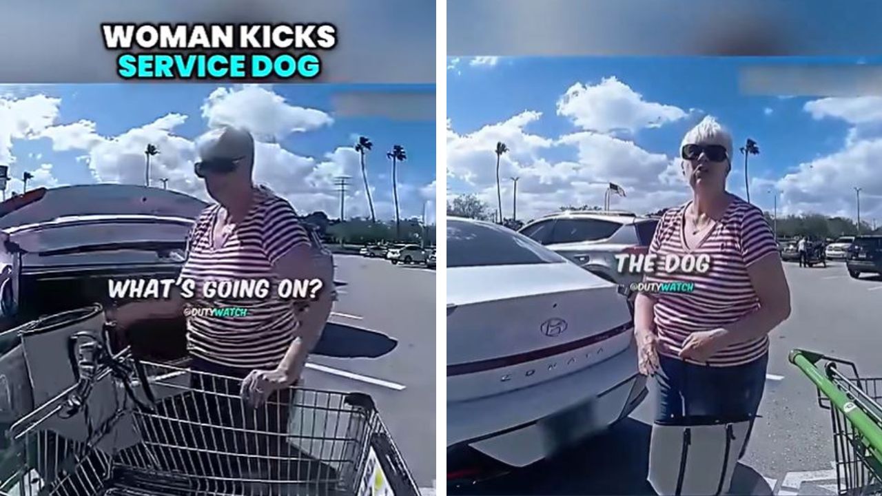 80-year-old woman kicks service dog