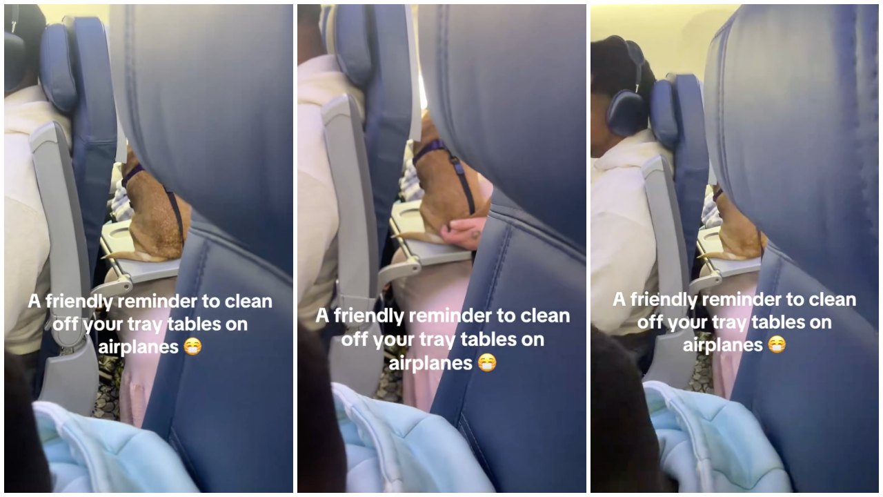 Woman Lets Dog Sit on Tray Table During Flight and People Are Grossed Out