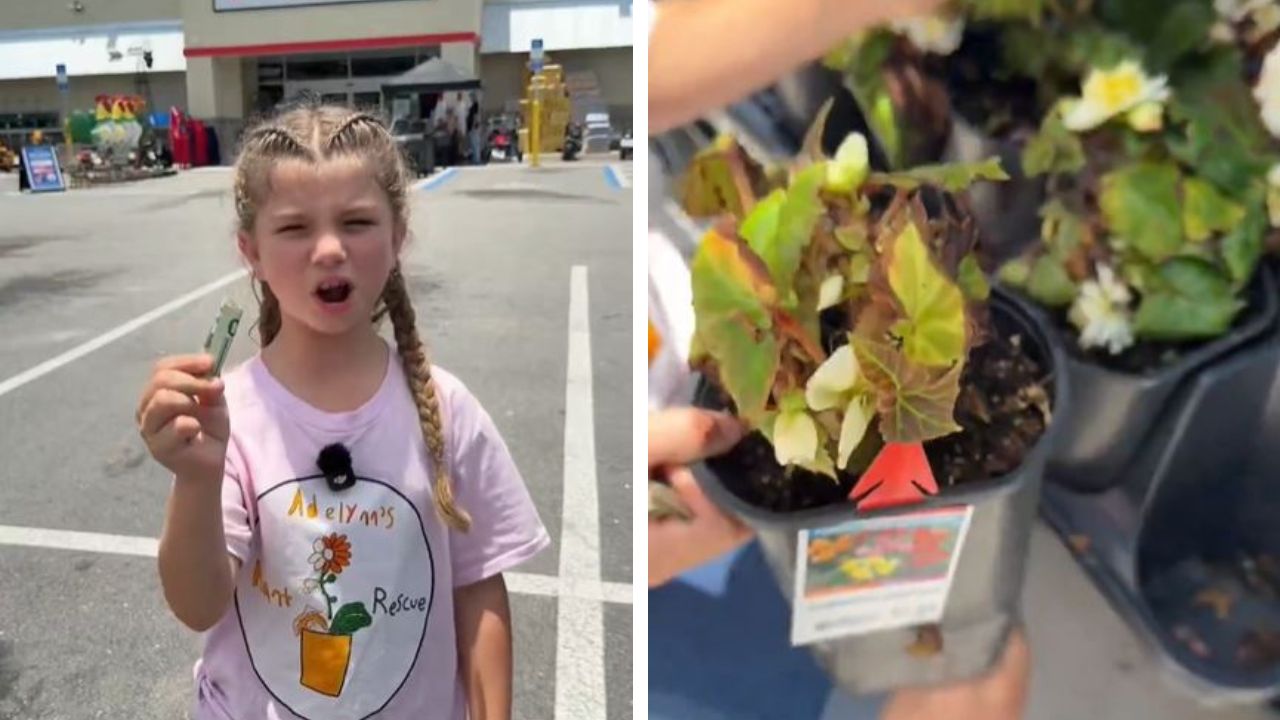 Young plant rescuer gets unexpected help