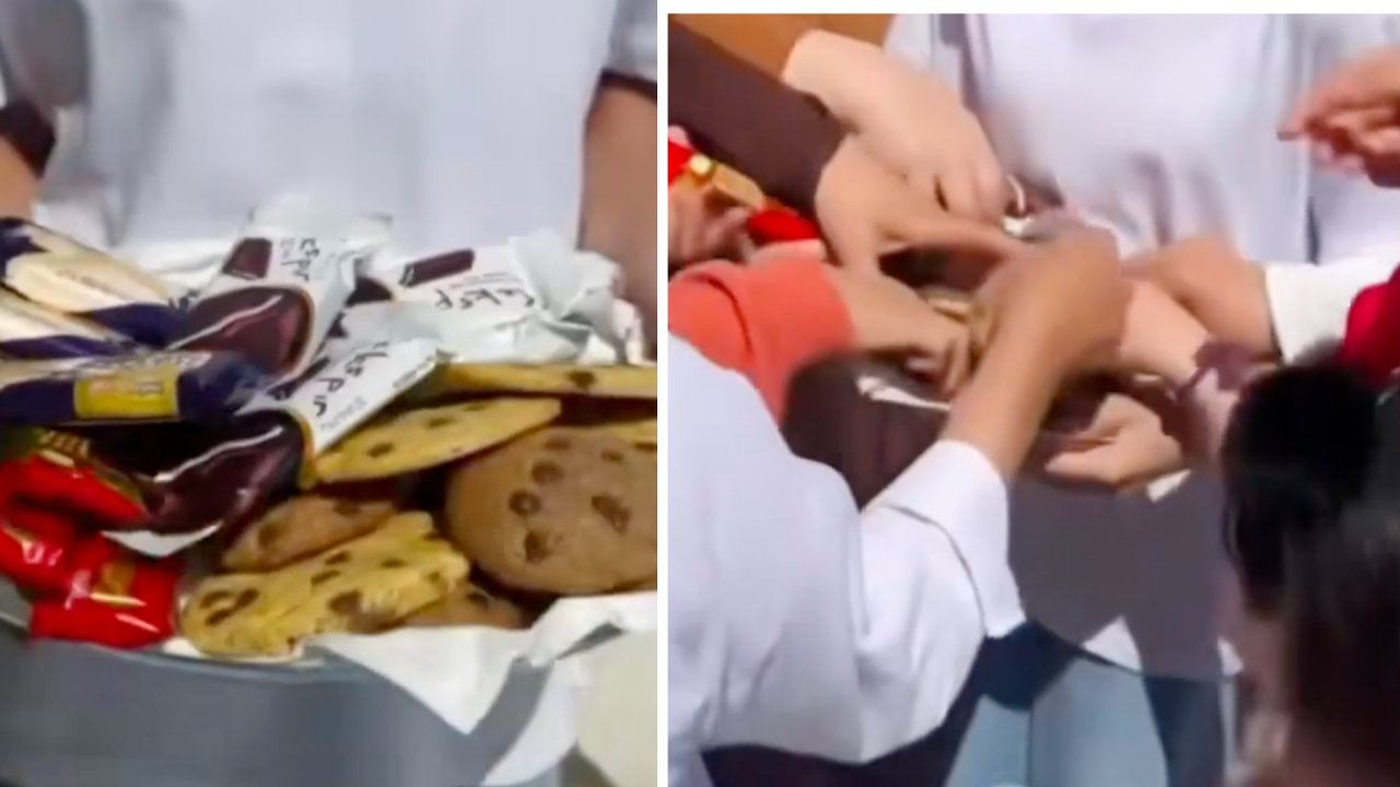 Girl Hands Out Free Cookies Only to Have Her Kindness Taken Advantage Of