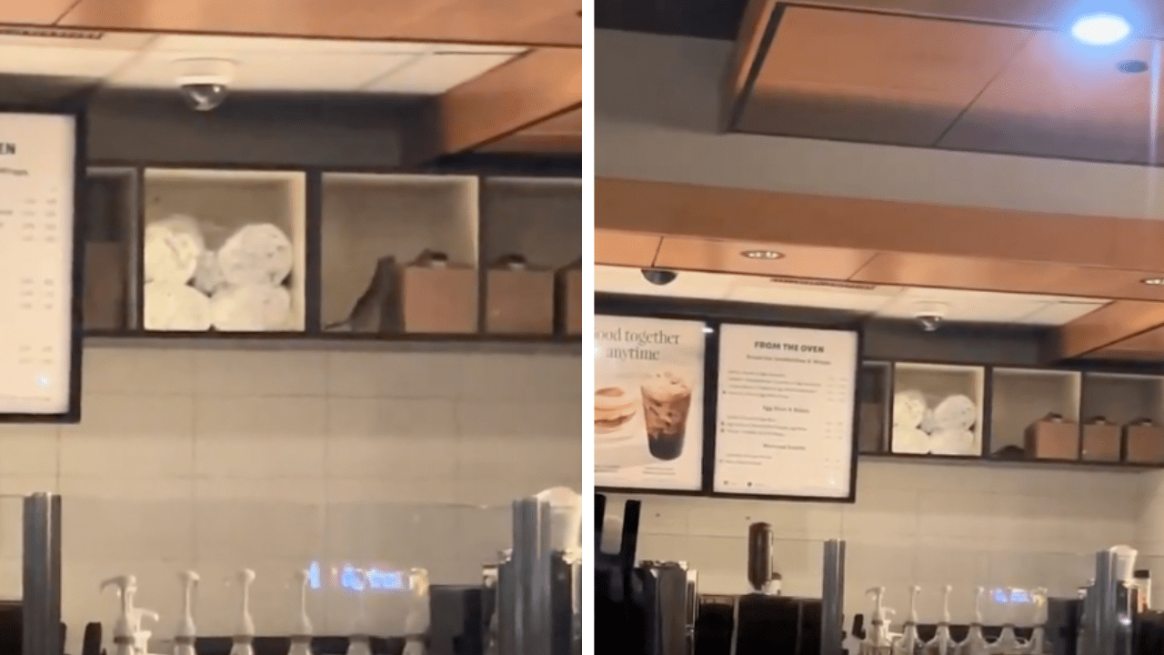 Viral Video Shows Large Rat Inside Starbucks