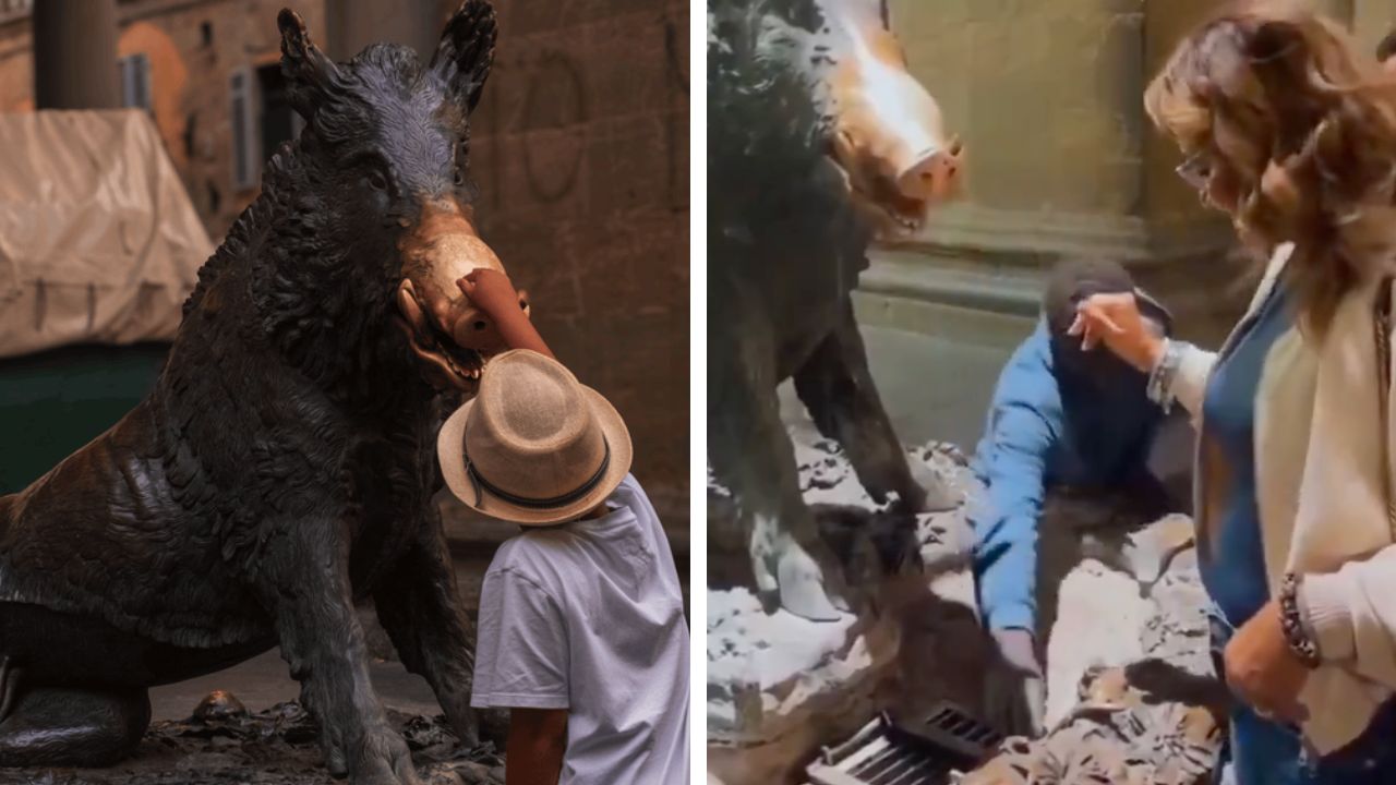 Florence's Bronze Pig is usually rubbed on it's nose and given a coin for good luck, but tradition may have changed.