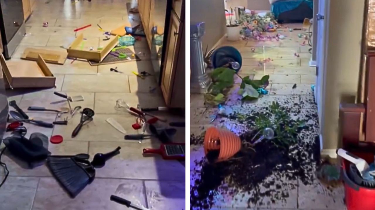 Items scattered across a kitchen floor after a mother alleged her teenage son damaged her home after a fight.