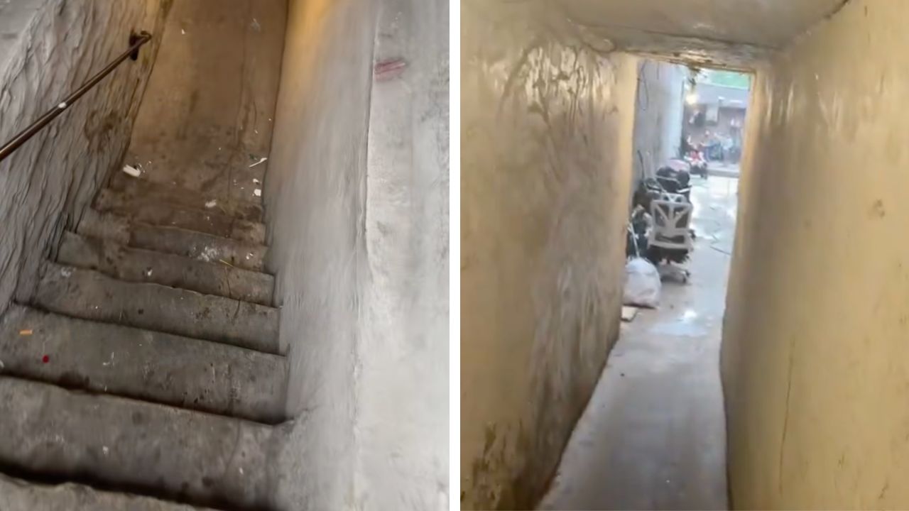NYC Man found a family living at the bottom of a shady staircase.